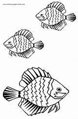Coloring Pages Fish Printable Animal Color Three Sheets Found sketch template