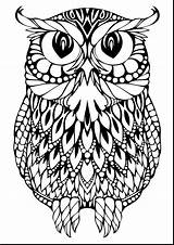 Coloring Pages Owl Printable Adults Getcolorings sketch template