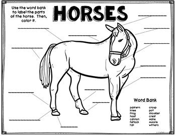 parts   horse diagram hanenhuusholli