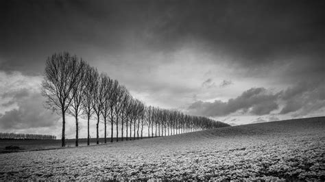 master black  white photography techradar