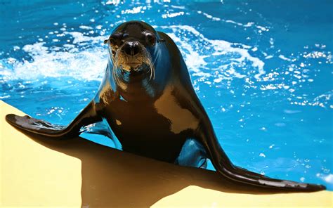 loro parque   losing  average      million euros  month