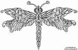 Dragonfly Colouring Welshpixie Coloring Deviantart Drawings sketch template