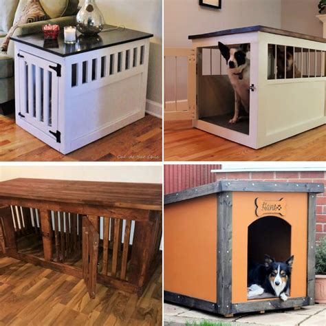 diy dog kennel plans  indoor  outdoor