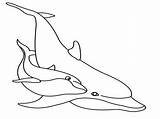 Coloring Pages Dolphin Dolphins Printable Outline Drawing Mermaid Choose Board Whale Sea sketch template