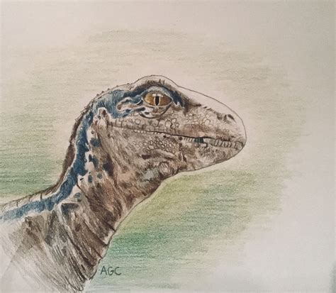 √100以上 velociraptor blue jurassic world drawing 165033 jurassic world