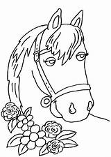 Pferde Pferd Malvorlage Ausmalen Pferdekopf Blumen Malen Ausmalbild Hufeisen Einhorn Huebsches Koppel sketch template