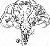 Deer Drawing Skull Skulls Getdrawings sketch template
