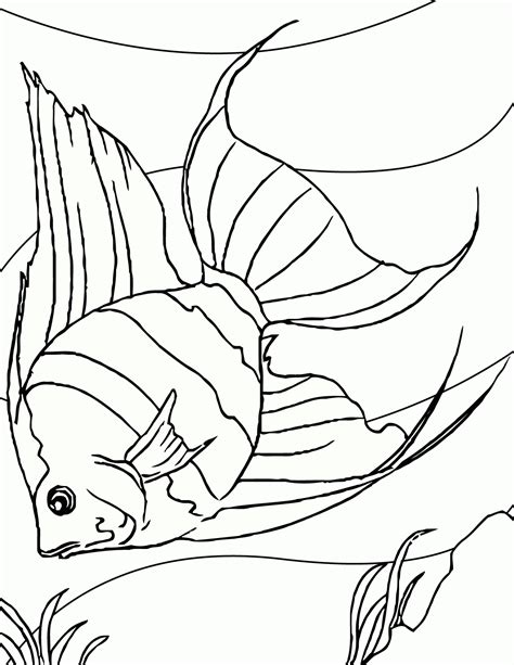 sea fish coloring pages coloring home