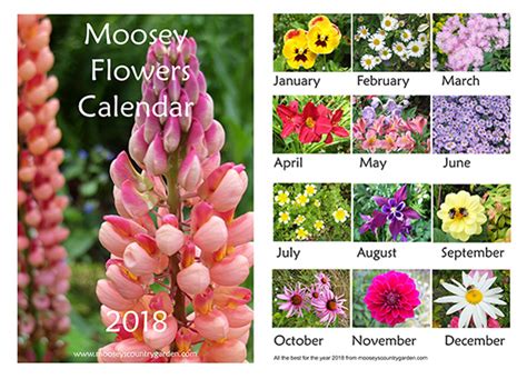 moosey flowers calendar