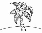 Tree Coconut Coloring Palm Getcolorings Eating sketch template