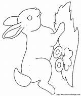 Rabbit Running Browser Ok Internet Change Case Will sketch template
