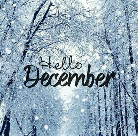 pin  cheryl  winter december quotes  december winter quotes