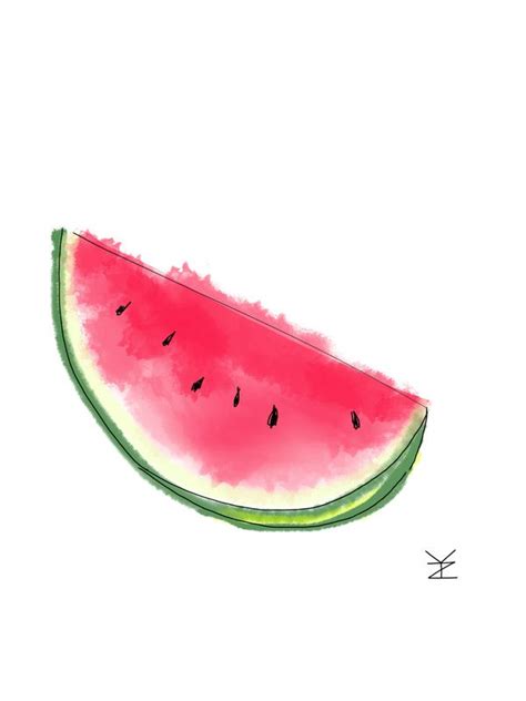 watermelon drawing illustration art pinterest drawings