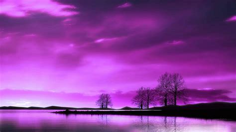 purple sky wallpaper