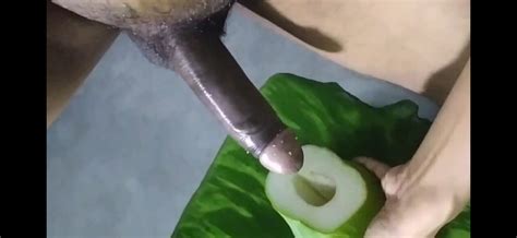 indian big dick fucking papaya xhamster