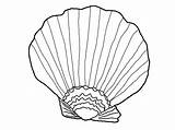 Coloring Shell Seashell Shells Pages Sea Printable Seashells Grass Beach Kids Drawing Oyster Color Print Colouring Drawings Clipart Simple Getdrawings sketch template