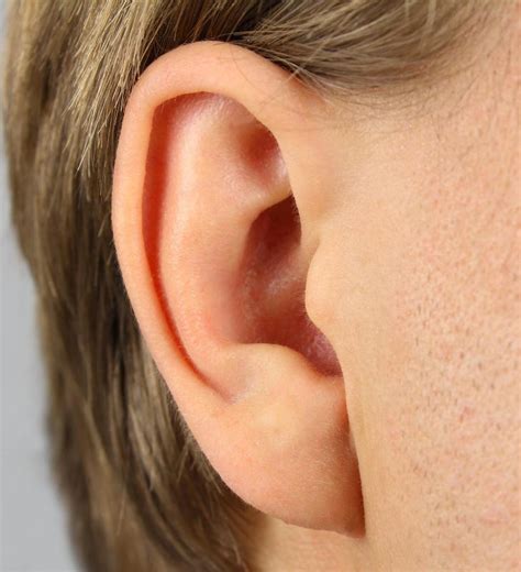 swollen ear lobe  pictures