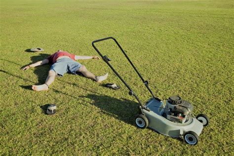 Which Father Mows Best The 3 Types Of Yard Dads