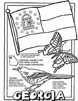 Georgia Coloring Pages Crayola State Sheets Flag Color Symbols Printable Kindergarten Kids Print States Social Book Atlanta Bird Studies Brown sketch template