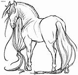 Friesian Coloring Pages Horse Getcolorings Color Printable sketch template