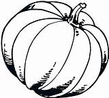 Pumpkin Coloring Outline Pages Printable Drawing Kids Fall Blank Scary Template Patch Gourd Pumpkins Color Preschool Print Square Getcolorings Benefits sketch template
