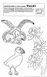 Wales Coloring Pages 24kb Popular sketch template