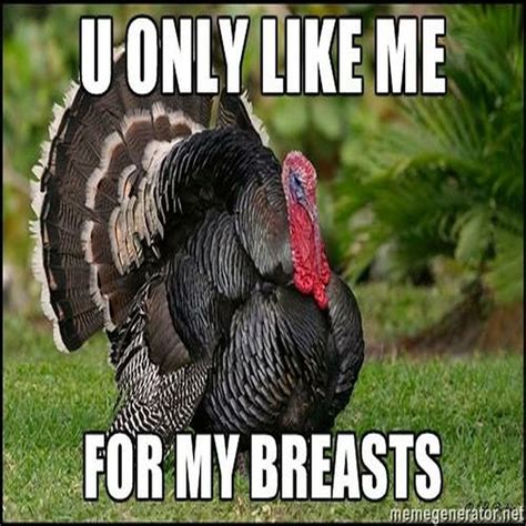 happy thanksgiving memes holidays thanksgiving thanksgiving turkey