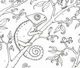 Chameleon Pages Coloring Color Kids Animal Choose Board Animals sketch template