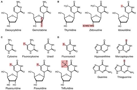 Frontiers Nucleoside Analogues As Antibacterial Agents