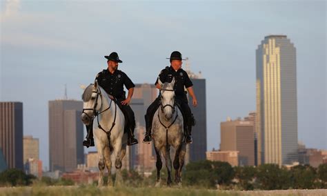 mounted unit  host family friendly community   august dallas city news