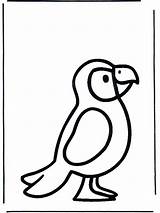 Papegaai Kleurplaten Dibujo Dieren Perroquet Tekenen Parrot Animales Lorito Pinguin Vogels Nukleuren Printen Huisdieren Piccini Papuga Pappagallo Kleuters Knutselen Pájaros sketch template