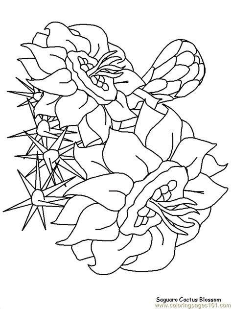coloring pages realistic flowers cartoons realistic flowers