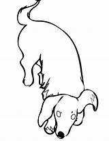 Dog Weenie Getdrawings Drawing sketch template