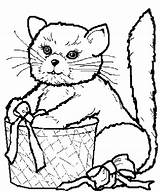 Colorat Pisici Katze Animale Imagini Chats Coloriage Planse Gatti P93 Pisica Desene Ausmalbilder Ninos Gatto Gatos Disegno Ausdrucken Primiiani Paginas sketch template