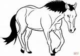 Cavalo Colorir Cavallo Horse Colorare Cavalos Tegninger Disegni Imagens Hest Farvelægning sketch template