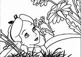 Coloring Alice Wonderland Flower Wecoloringpage Pages Guardado Desde sketch template