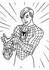 Aranha Pintar Mascara Pdf Spiderman Parker Gwen Scribblefun Escolha Famosos Heróis Pasta Homen Herois Soloinfantil sketch template
