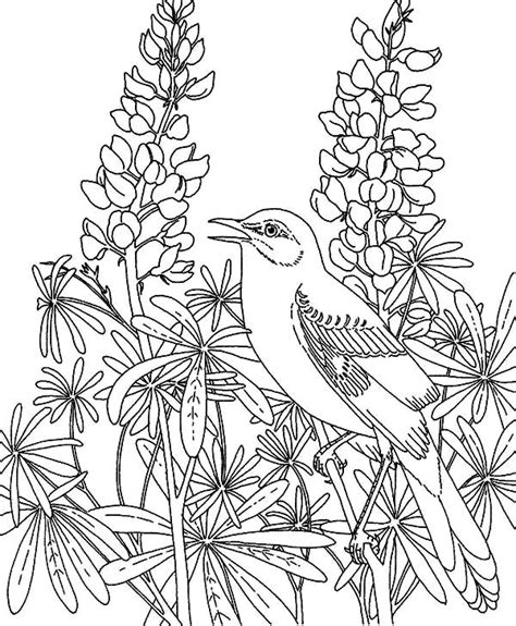 mockingbird   flower garden coloring pages color luna