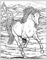 Horse Coloring Pages Adults Kids sketch template