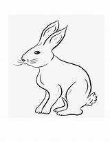 Rabbit Coloring Pages Printable Kids Bunny Color Colouring Print Sheets Bestcoloringpagesforkids Choose Board sketch template