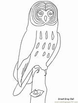 Coloring Pages Owl Great Gray Birds Realistic Horned Animals Printable Color Print Designlooter Popular Library Clipart Template 3kb sketch template