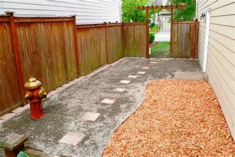 landscaping  dogs dos  donts backyard dog area dog friendly