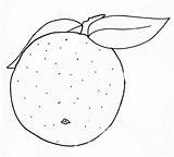 Pompelmo Disegni Frutta Crescere Bambini sketch template