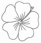 Hawaiian Coloring Flower Pages Flowers Getcolorings Color Print sketch template