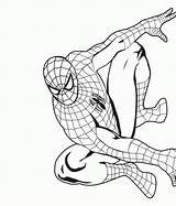 Aranha Homem Venom Disegni Atividades Arana Superheroes Superhéroes Settemuse Araña Ragnatele Spara Agire Tudodesenhos Ciudad Laminas Escalando sketch template