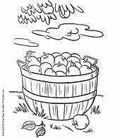 Coloring Pages Thanksgiving Harvest Apples Dinner Colouring Sheets Apple Feast Bible Food Color Basket Fall Printable Ramadan Kids Rabbit Drawing sketch template