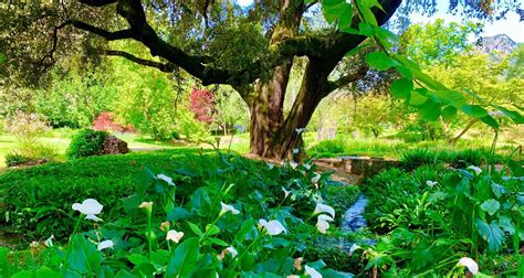 Idee da cui trarre ispirazione su come progettare il giardino . Giardini da sogno