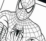 Spiderman Coloring Pages Spider Man Logo Drawing Venom Easy Ultimate Color Amazing Getcolorings Simple Printable Getdrawings Draw Clipartmag Print Colorings sketch template