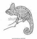 Chameleon Raster Zentangle sketch template