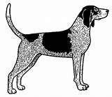 Coonhound Bluetick Tick sketch template